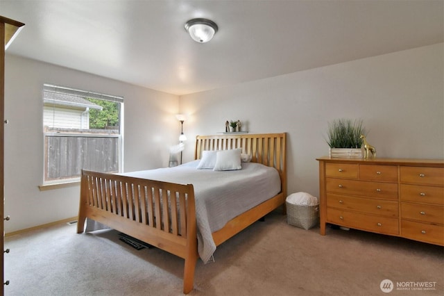 830 Park Cottage Pl, Sedro Woolley, WA 98284 - photo 12