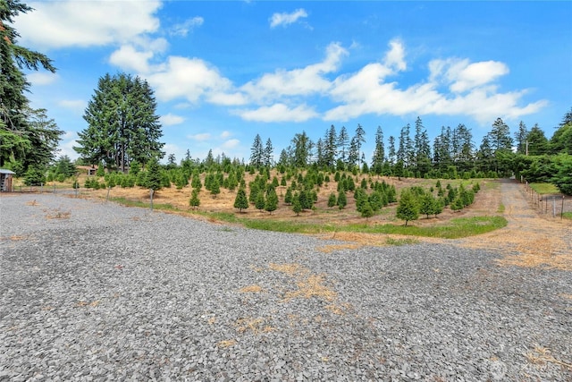 6303 365th St E, Eatonville, WA 98328 - photo 4