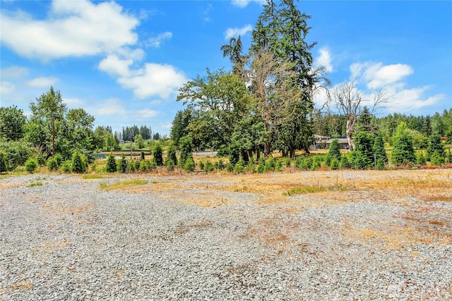 6303 365th St E, Eatonville, WA 98328 - photo 7