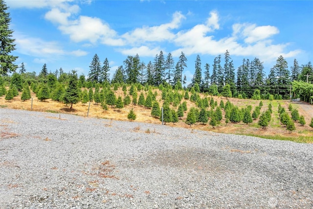 6303 365th St E, Eatonville, WA 98328 - photo 8