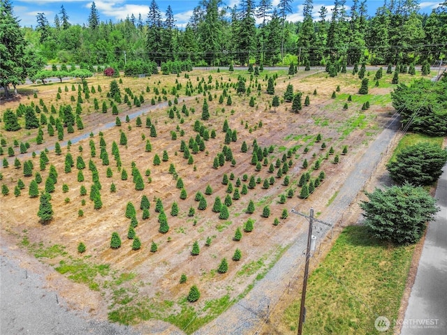 6303 365th St E, Eatonville, WA 98328 - photo 13