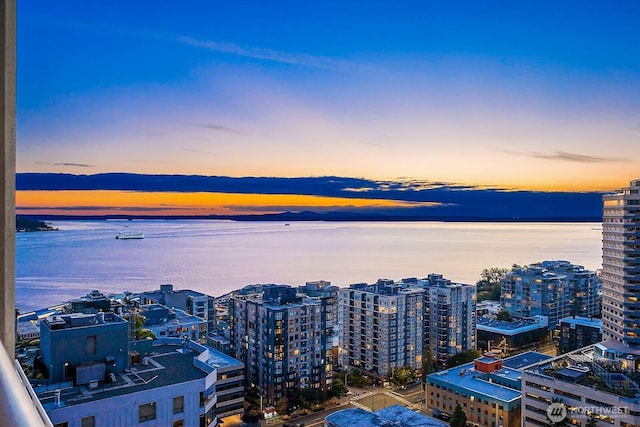 2600 2nd Ave Unit 2501, Seattle, WA 98121 - city view with a large body of water