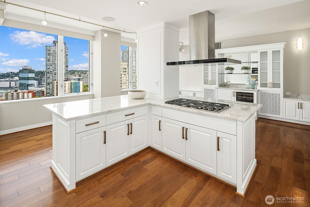 2600 2nd Ave Unit 2501, Seattle, WA 98121 - kitchen with island range hood, stainless steel gas stovetop, open shelves, glass insert cabinets, and dark wood-style floors