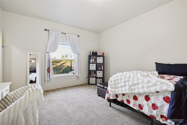29 Sherburne Rd, Sequim, WA 98382 - view of carpeted bedroom