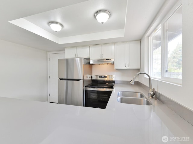 2705 181st Ave E, Lake Tapps, WA 98391 - kitchen featuring stainless steel appliances, under cabinet range hood, a tray ceiling, and white cabinets