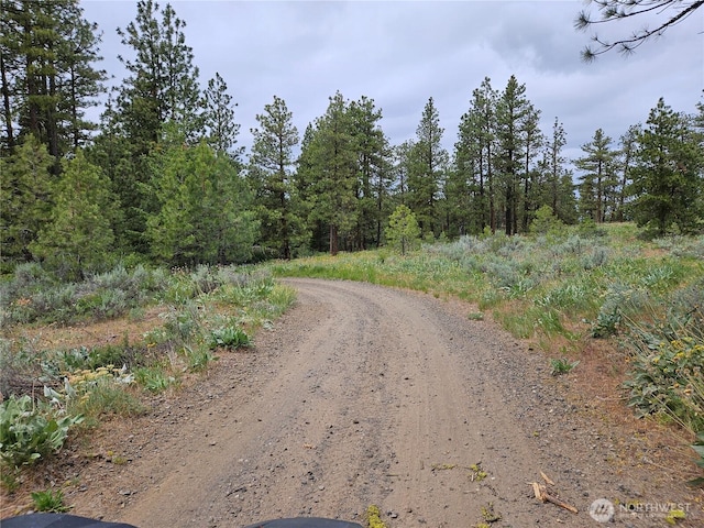 0 Muledeer Rd, East Wenatchee, WA 98802 - photo 6