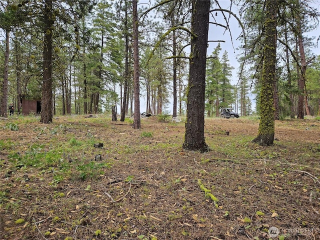 0 Muledeer Rd, East Wenatchee, WA 98802 - photo 12