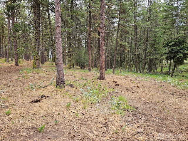 0 Muledeer Rd, East Wenatchee, WA 98802 - photo 14