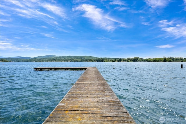 610 Northshore Dr Unit 6123, Bellingham, WA 98226 - dock featuring a water and mountain view