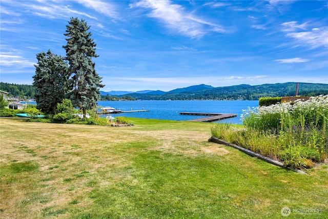 610 Northshore Dr Unit 6123, Bellingham, WA 98226 - water view featuring mountains