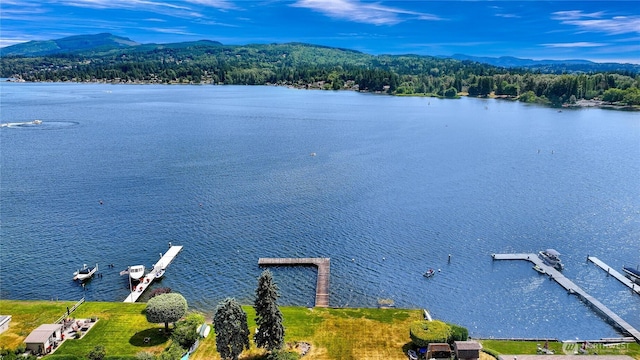 610 Northshore Dr Unit 6123, Bellingham, WA 98226 - aerial view of a water and mountain view