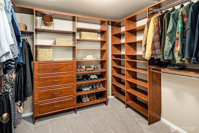 10261 NE 21st Pl, Bellevue, WA 98004 - spacious closet with light carpet