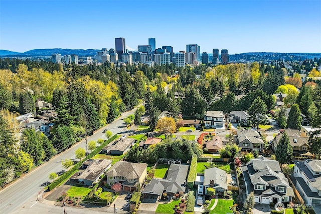 10261 NE 21st Pl, Bellevue, WA 98004 - aerial view of residential area