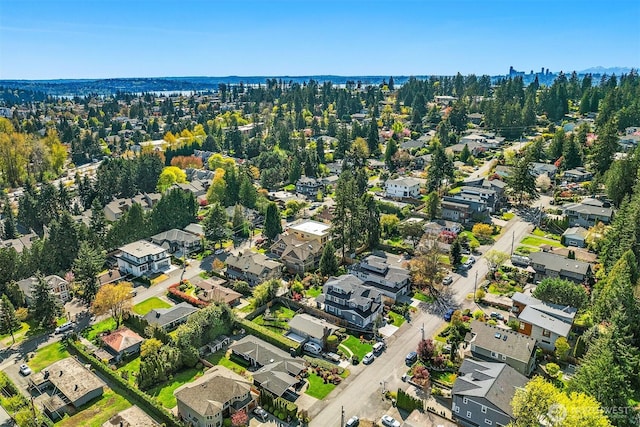 10261 NE 21st Pl, Bellevue, WA 98004 - aerial view of property's location featuring nearby suburban area
