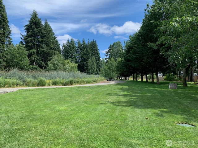 15539 Bergh Ct SE, Yelm, WA 98597 - view of property's community with a yard