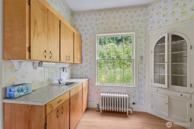 46372 E Main St, Concrete, WA 98237 - kitchen with radiator heating unit, wallpapered walls, light wood finished floors, and light countertops