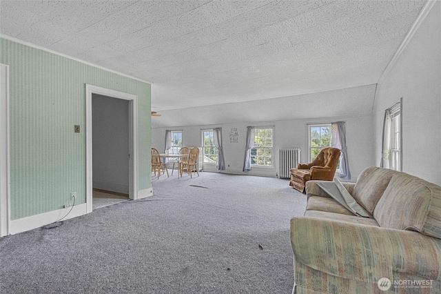 46372 E Main St, Concrete, WA 98237 - living area with carpet and baseboards