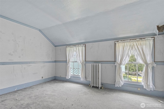 46372 E Main St, Concrete, WA 98237 - empty room with radiator heating unit and vaulted ceiling