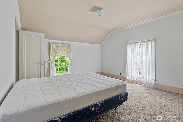 46372 E Main St, Concrete, WA 98237 - bedroom with lofted ceiling and carpet floors