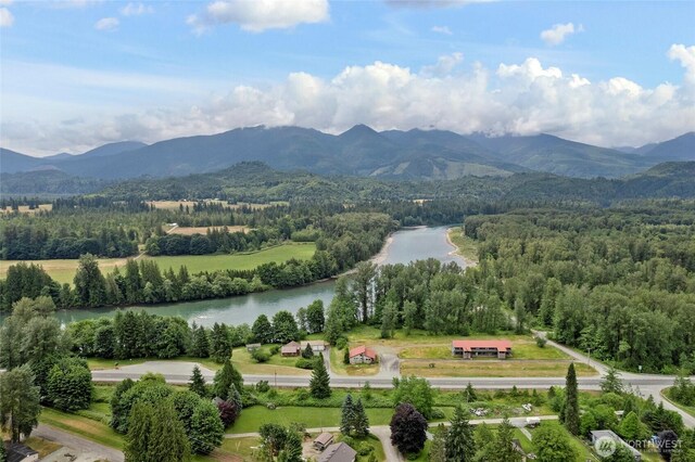 46372 E Main St, Concrete, WA 98237 - bird's eye view of a water and mountain view and a forest