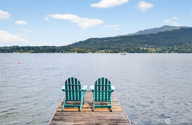 2562 Lake Whatcom Blvd, Bellingham, WA 98229 - photo 30