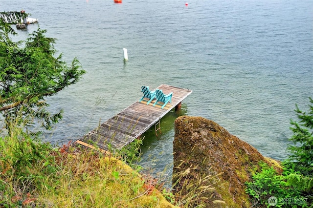 2562 Lake Whatcom Blvd, Bellingham, WA 98229 - photo 32