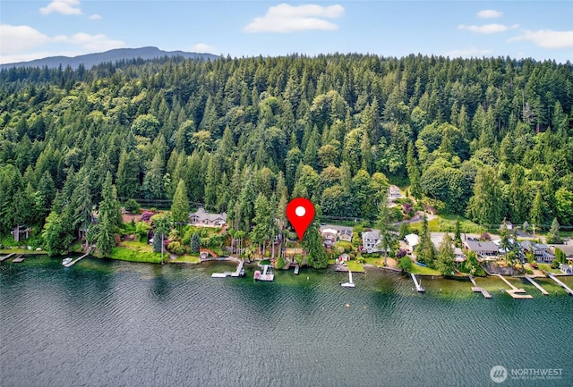 2562 Lake Whatcom Blvd, Bellingham, WA 98229 - photo 35