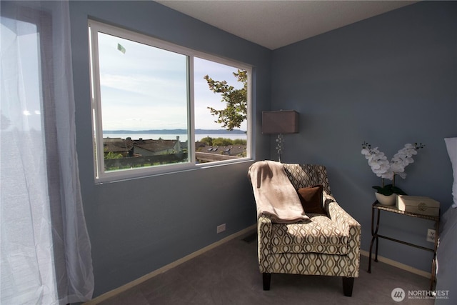 28635 11th Ave S, Federal Way, WA 98003 - sitting room featuring baseboards and carpet