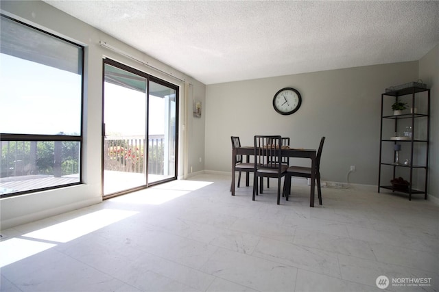 28635 11th Ave S, Federal Way, WA 98003 - dining room with plenty of natural light and a textured ceiling