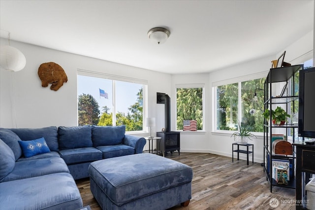 1156 Halsey Ave, Coupeville, WA 98239 - living room with a wood stove and wood finished floors