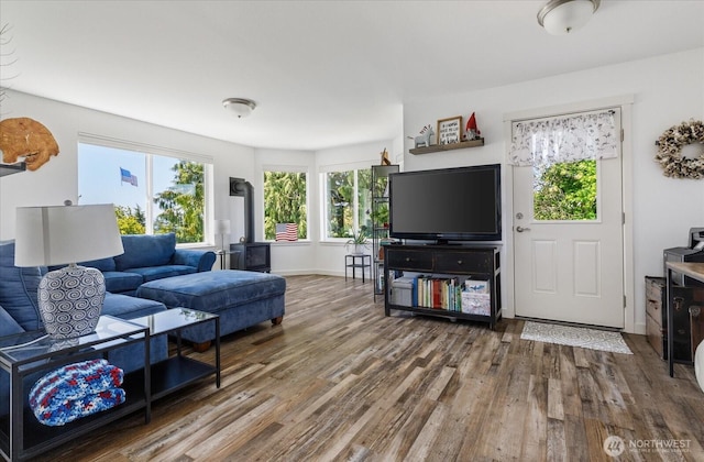 1156 Halsey Ave, Coupeville, WA 98239 - living room with a wood stove and wood finished floors