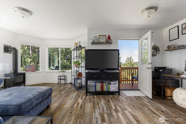 1156 Halsey Ave, Coupeville, WA 98239 - living area featuring a wood stove and wood finished floors