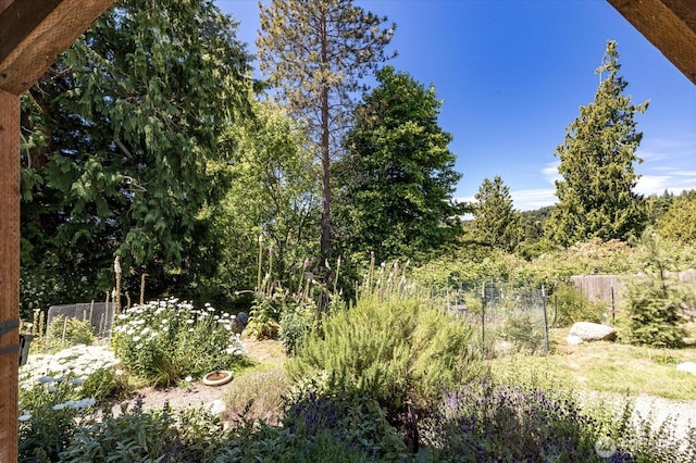 1156 Halsey Ave, Coupeville, WA 98239 - view of nature