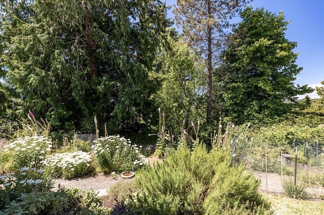 1156 Halsey Ave, Coupeville, WA 98239 - view of local wilderness