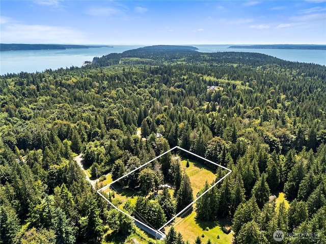 472 Iris Ln, Camano Island, WA 98282 - aerial overview of property's location featuring property parcel outlined and a large body of water