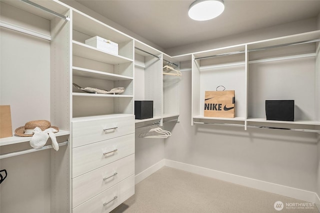 10915 126th Pl NE, Kirkland, WA 98033 - spacious closet featuring light carpet