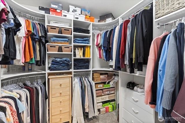 6010 155th St SW, Edmonds, WA 98026 - walk in closet with carpet flooring