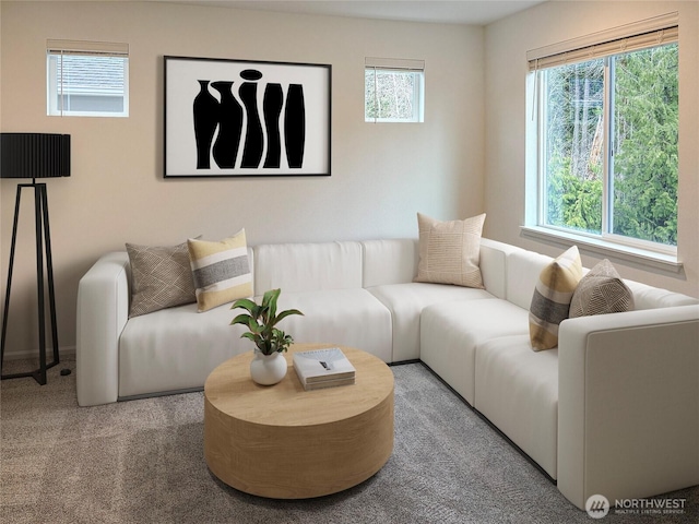 17911 139th Pl E, Puyallup, WA 98374 - view of carpeted living area