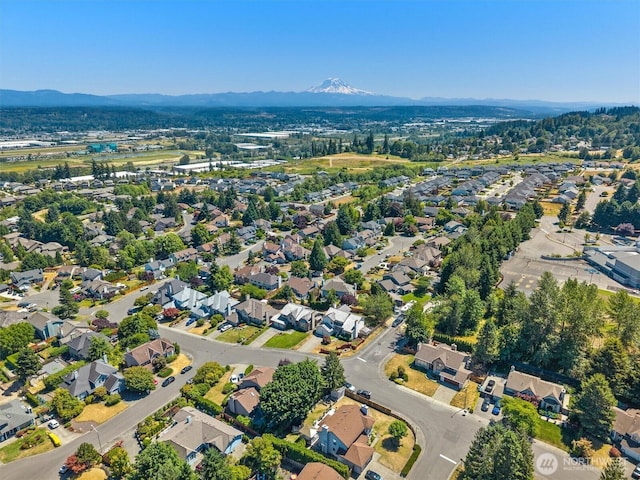 5907 S 296th Pl, Auburn, WA 98001 - photo 39