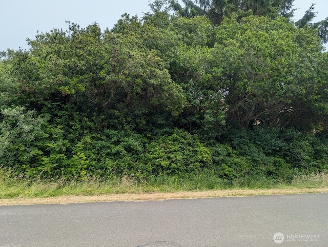 275 Queets St SW, Ocean Shores, WA 98569 - photo 1