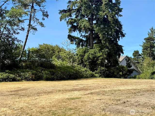 28103 R St, Ocean Park, WA 98640 - photo 30