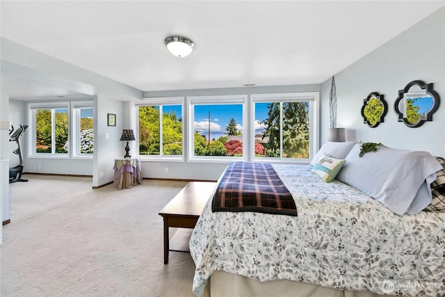 29812 Marine View Dr SW, Federal Way, WA 98023 - carpeted bedroom featuring multiple windows