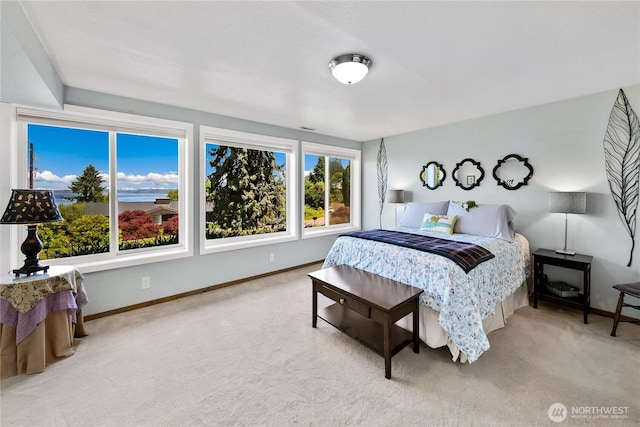 29812 Marine View Dr SW, Federal Way, WA 98023 - bedroom featuring carpet