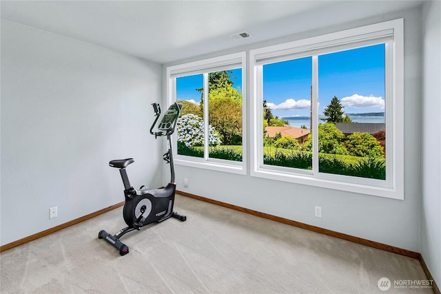 29812 Marine View Dr SW, Federal Way, WA 98023 - workout room featuring carpet and a water view