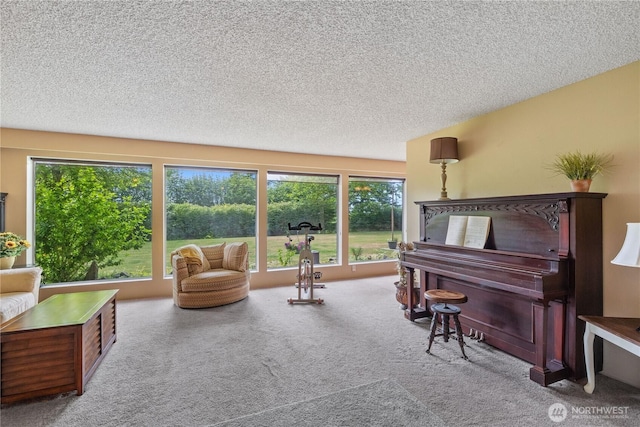 23019 Arlington Heights Rd, Arlington, WA 98223 - sitting room featuring carpet flooring and a textured ceiling