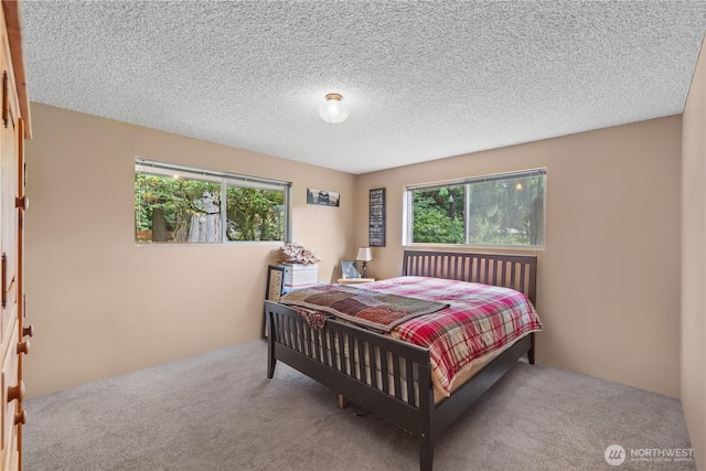 23019 Arlington Heights Rd, Arlington, WA 98223 - carpeted bedroom with a textured ceiling