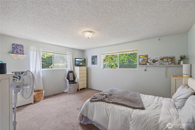 23019 Arlington Heights Rd, Arlington, WA 98223 - bedroom with multiple windows, carpet floors, and a textured ceiling