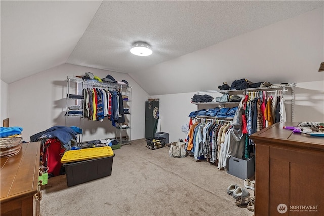 23019 Arlington Heights Rd, Arlington, WA 98223 - spacious closet with carpet flooring and vaulted ceiling