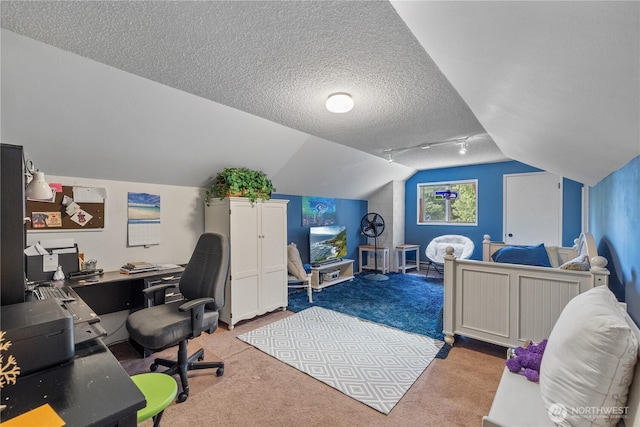 23019 Arlington Heights Rd, Arlington, WA 98223 - home office with light colored carpet, vaulted ceiling, and a textured ceiling