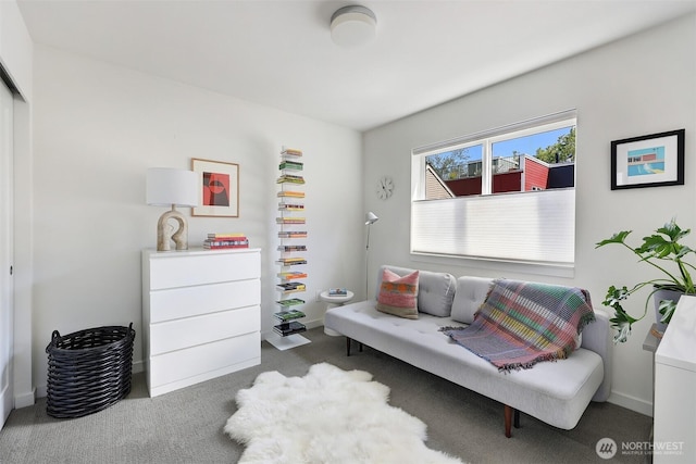 1117 34th Ave Unit B, Seattle, WA 98122 - sitting room with carpet floors and baseboards